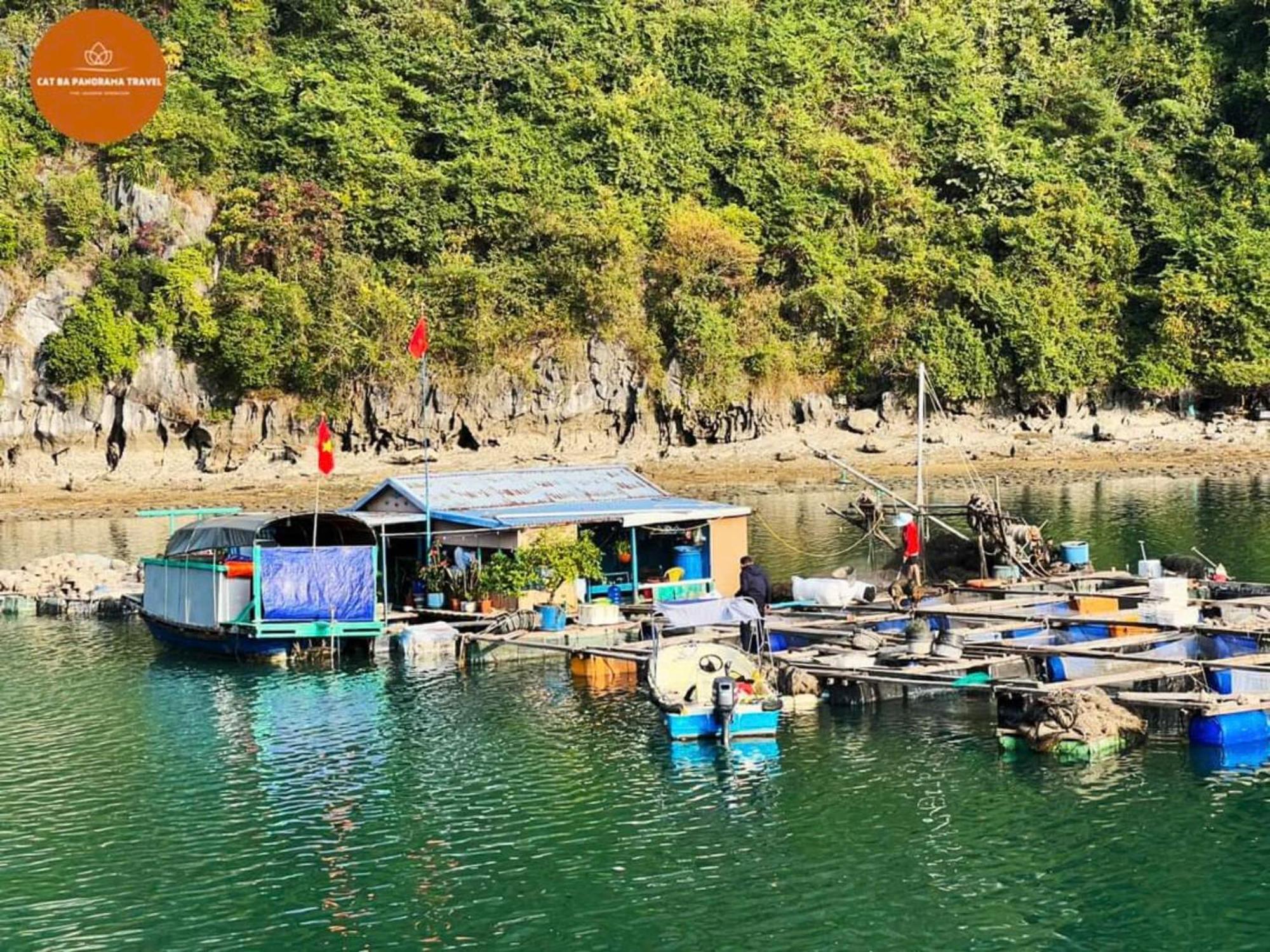 Napoli Hostel Chan Chau Eksteriør billede